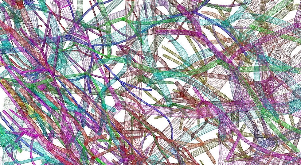 Branches