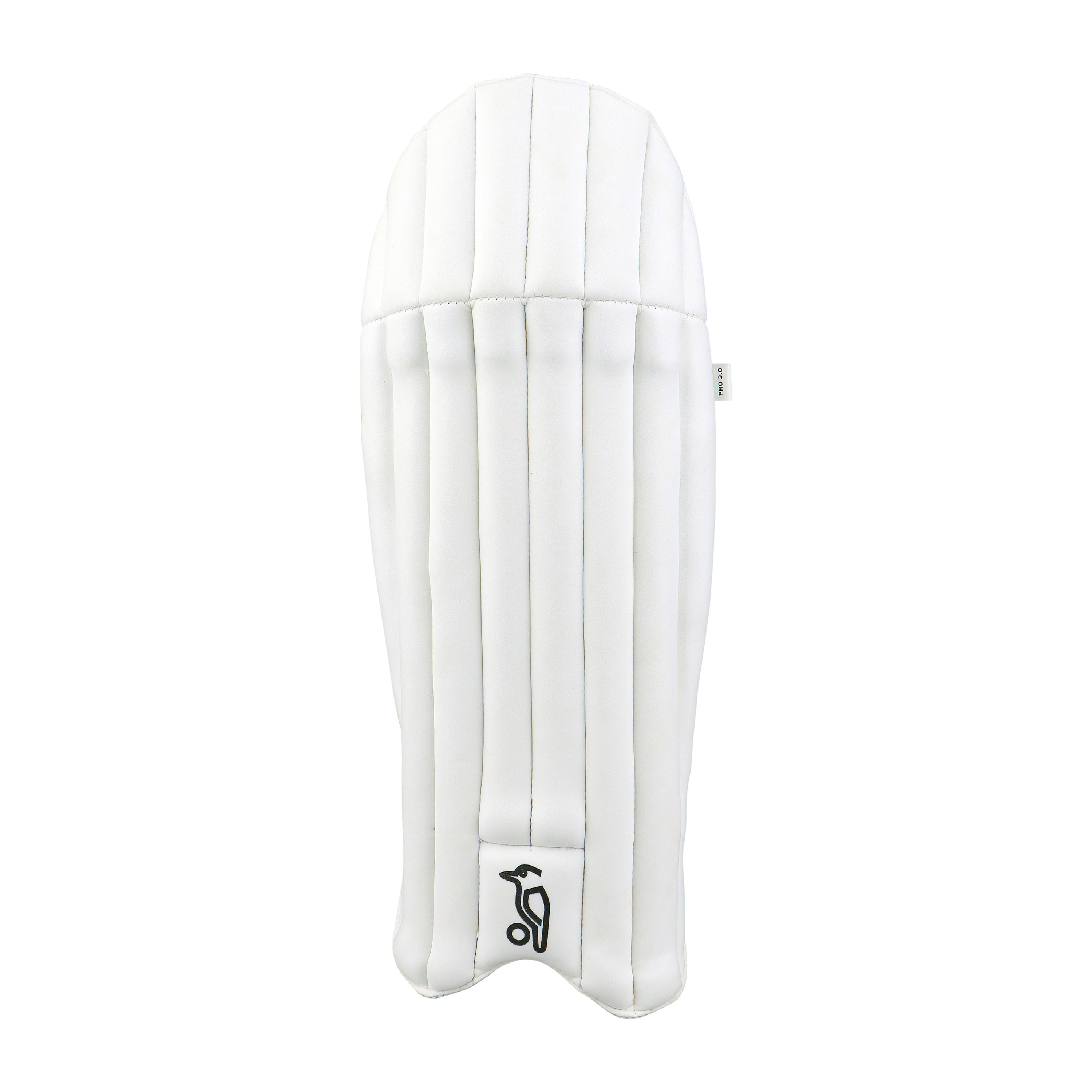 PRO 3.0 WICKET KEEPING PADS