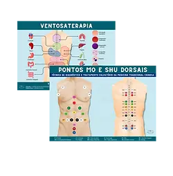Design sem nome (41).webp