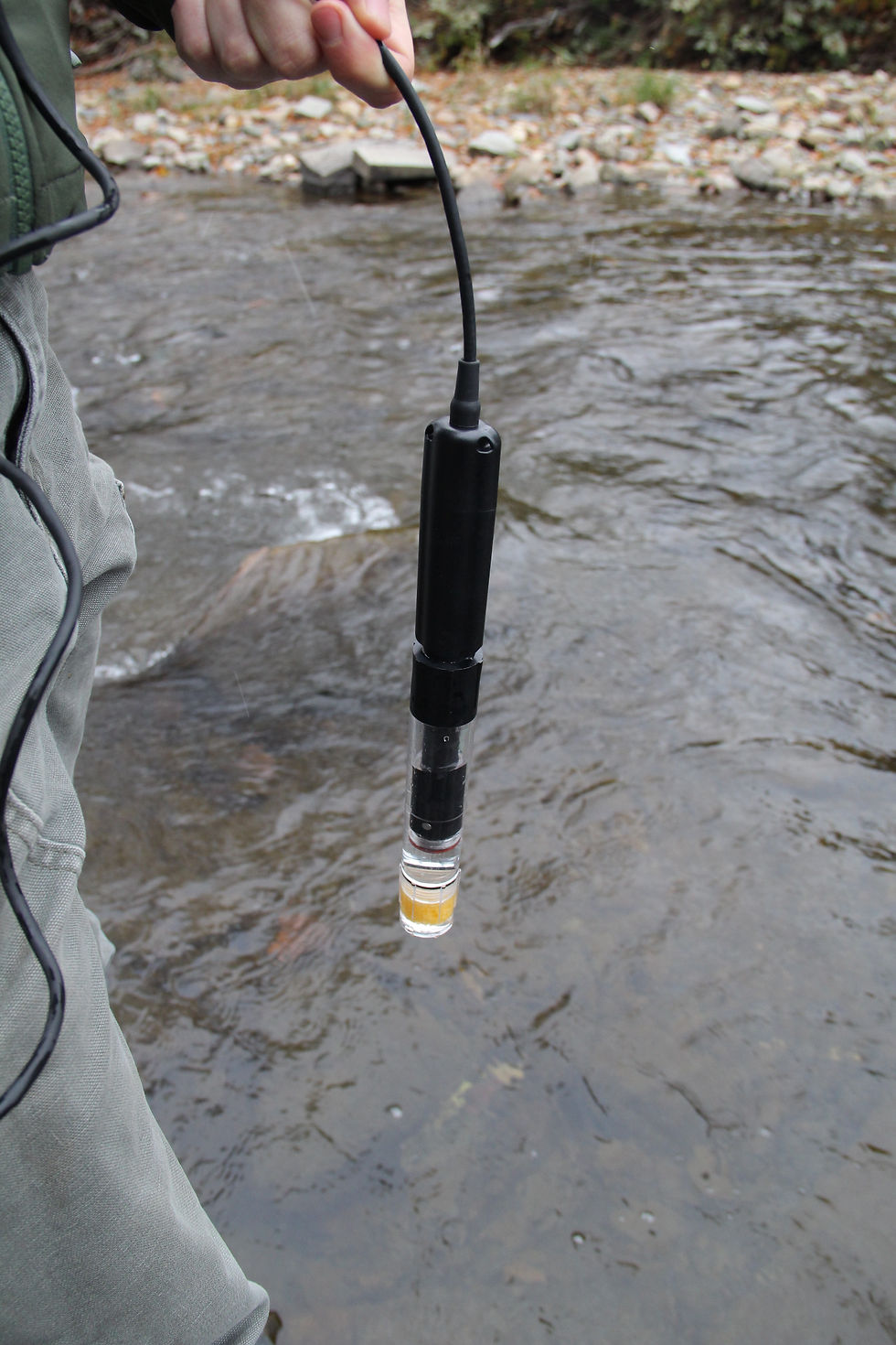 Dissolved Oxygen effects on Trout