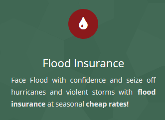 Find the right flood insurance southwest&nbsp;Florida