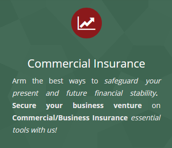 Commercial insurance agency in Naples FL  for you