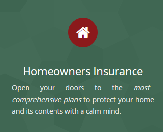 <strong>Homeowners insurance Naples service by Ackerman Insurance</strong>