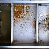 Greasy Kitchen