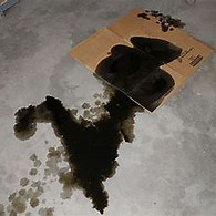 Oil