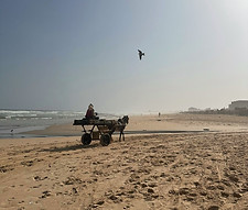 Plage de la côte Atlantique du Sénégal avec cheval et charette