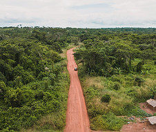Route de piste traversant la nature en Guinée