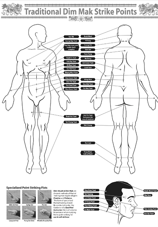 Poster: Traditional Dim Mak Strike Points | SHEN MARTIAL ARTS