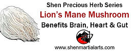 Liona Mane .jpg
