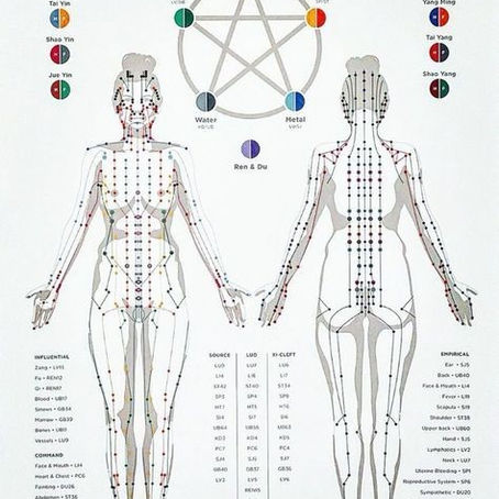 5 Element Elixirs - Ancient Herbal Support for Personal Transformation Part 2
