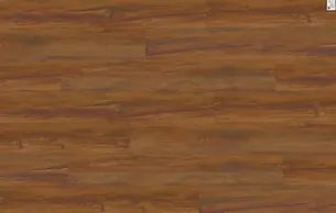 1616-5-1-scaled.webp
