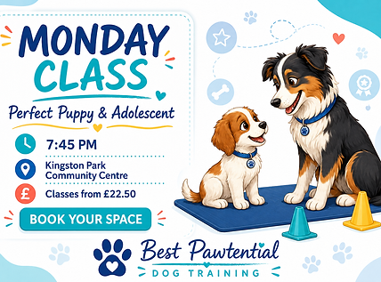 perfect puppy & adolescent class images