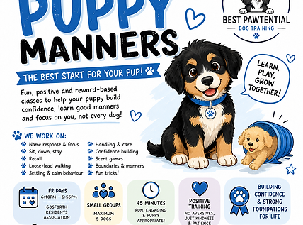 puppy manners