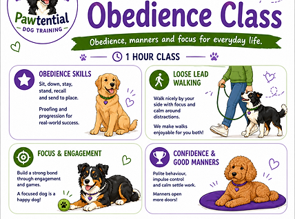 class description