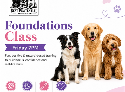 foundations class