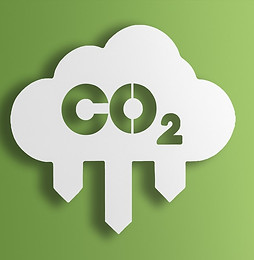 Website-co2.jpg