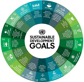 UNSDGS round greens.jpg