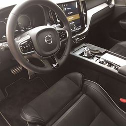 Limpeza, higienização e hidratação em couro