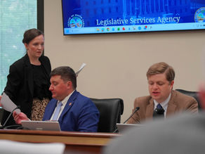 Republicans Vote 12-2 to Redraw SC Maps, Raising Fears Over Voting Rights and Election Chaos