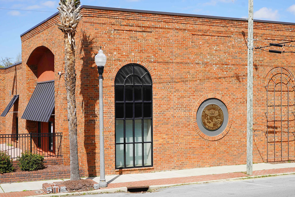 Mullins Council Schedules Sudden Vote on Election