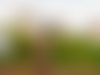 Finlay Park: Public Space or Luxury Venue