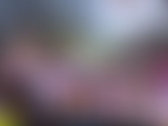 SC House Moves to Limit Public Recording of Police With 25-Foot “HALO Act”