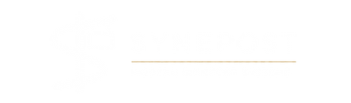 Synepost_Full_Logo_WHITE_GoldLine_2x1.png