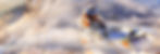 wudangshan1