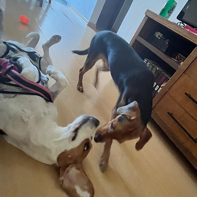 WhatsApp Image 2025-04-10 at 17.30.23 (1).jpeg