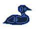 LoonFloat_01.gif