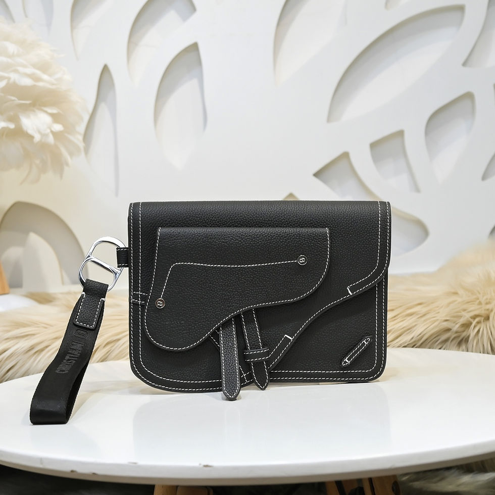 DIOR SADDLE BAG
