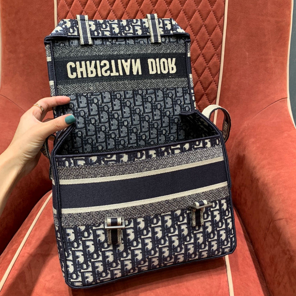 Thumbnail: DIOR CAMPH BAG