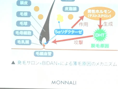 夜間講習会