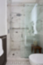 Pink Oyster Mushrooms