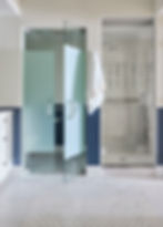 Pink Oyster Mushrooms