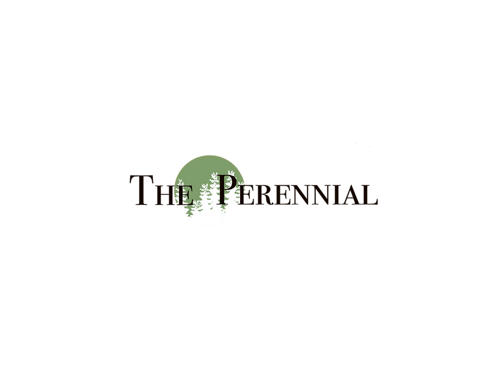Masthead_Final-9-e1675390250149.png
