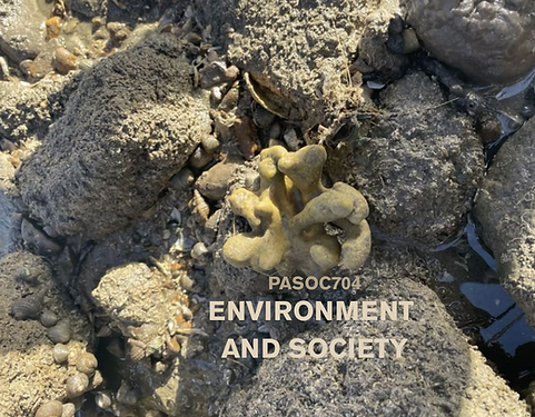 URBANISATION IN INDIA (1).png