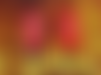 What are the different types of fire blanket?