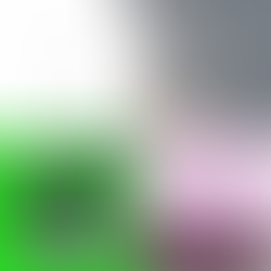 New Music Monday #5 / 11–01–2021  