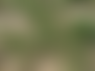 What is Drought Stress