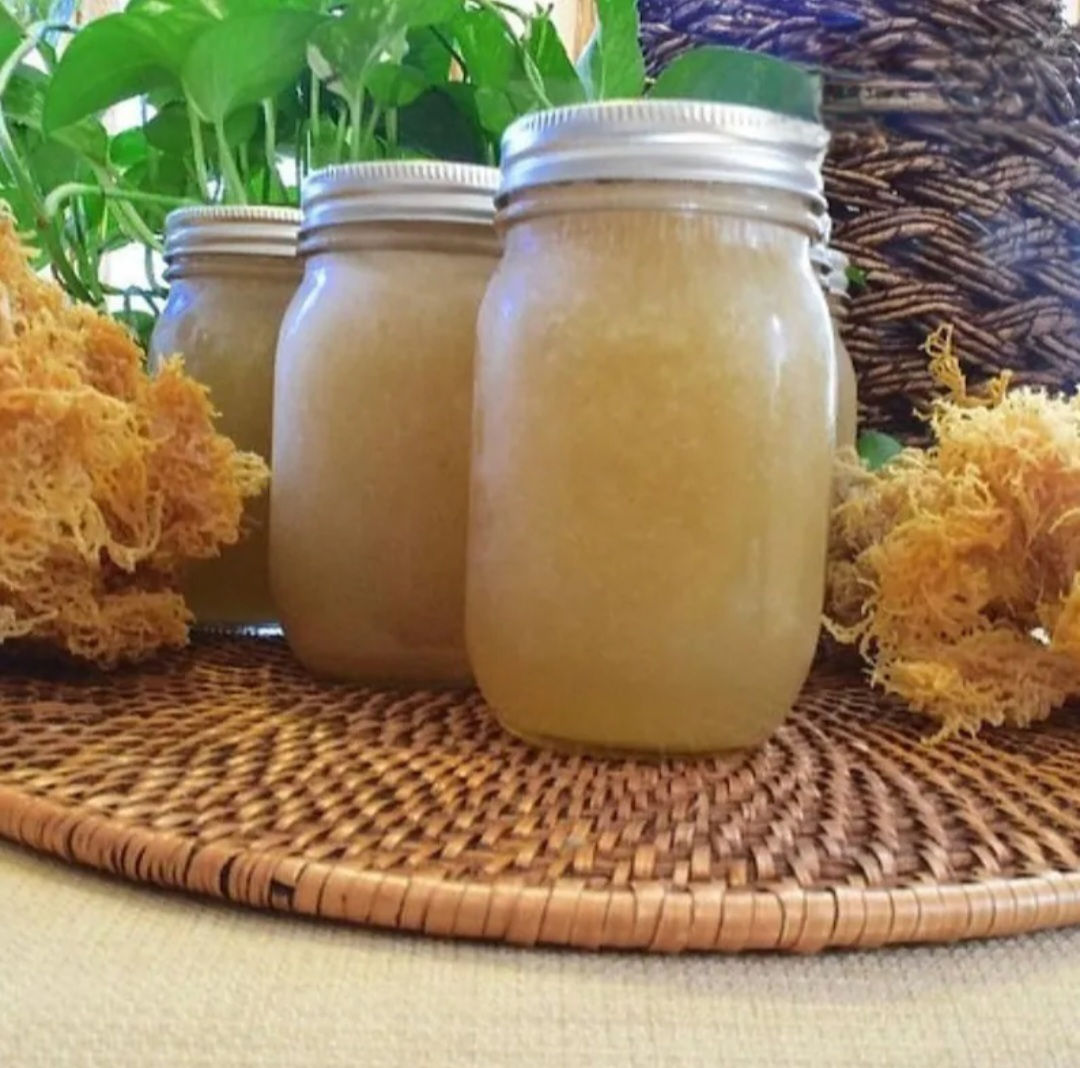 Organic Wildcrafted Sea Moss Gel