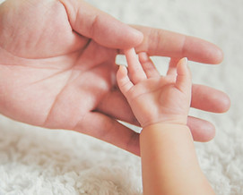 Baby Kisses by eKoo organics