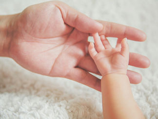 אימון מתחיל באמון