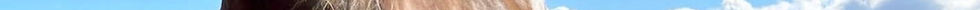 pexels-cottonbro-9953288_edit.jpg