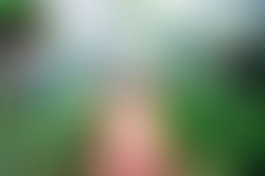 Deep Dive Focus Intensive - 90 days of Self Development discipline will Change Everything, Forever