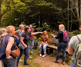 Kräuterwanderung im Königsforst
