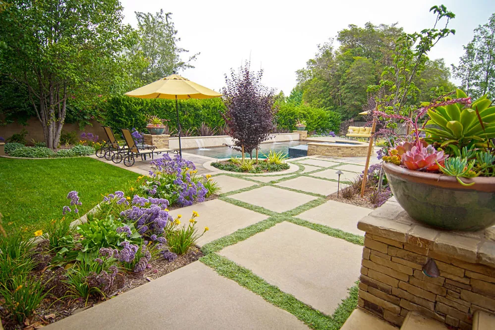 Backyard Design Houston,TX