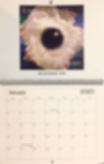 Calendar JAN.jpeg