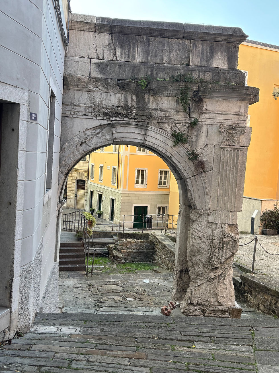 Ancient stone archway with plants growing on it, set on a narrow cobblestone street. Yellow buildings in the background. Quiet, historic mood.