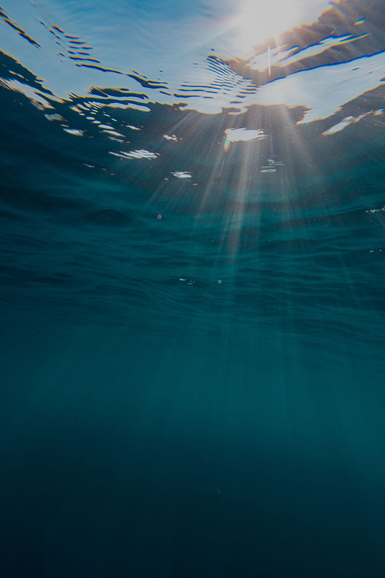 beautiful-scenery-fascinating-underwater-world-island-bonaire-caribbean_edited.jpg